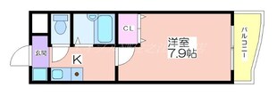 ラフィーネ北島の物件間取画像